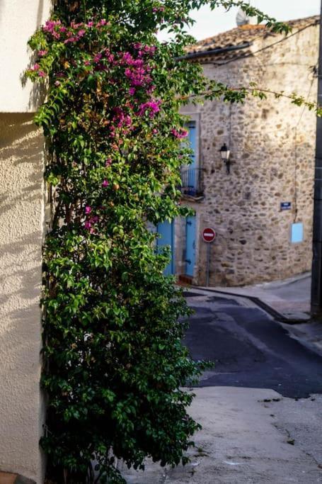 Welcome, Bienvenue, Chez Charly! Nébian Εξωτερικό φωτογραφία